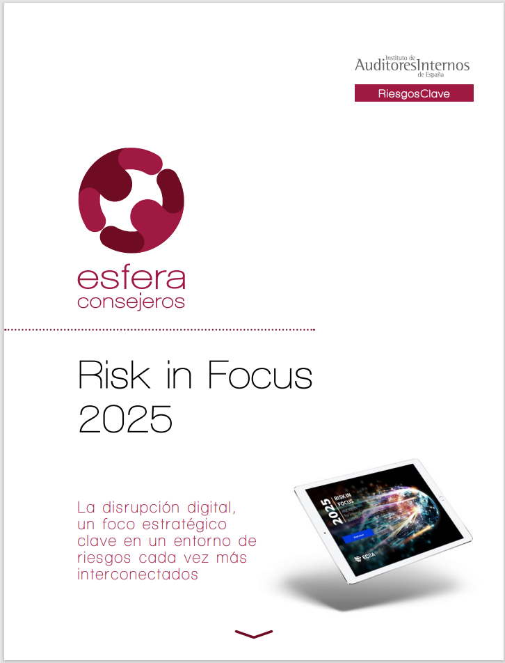 Risk in focus 2025