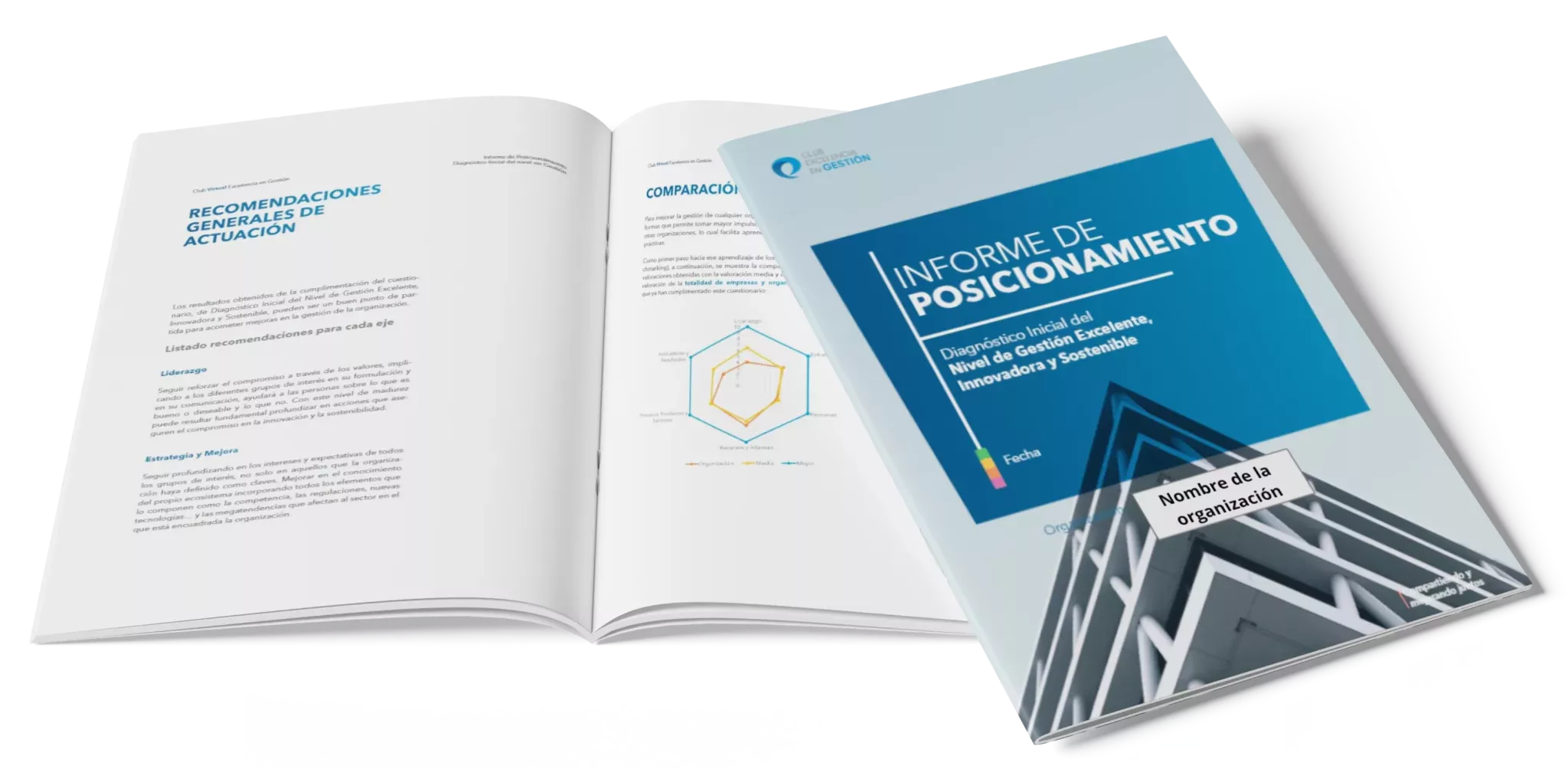 Informe de posicionamiento EVEG