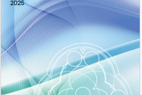 Publi Modelo EFQM 2025