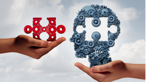 calendario formación 2024