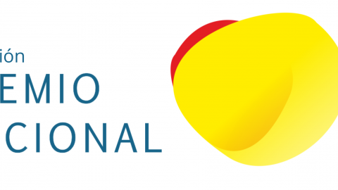 Premio nacional GEIS_III edición