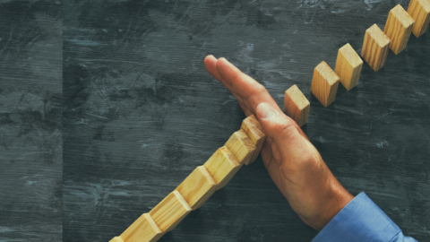 Formación y conocimiento