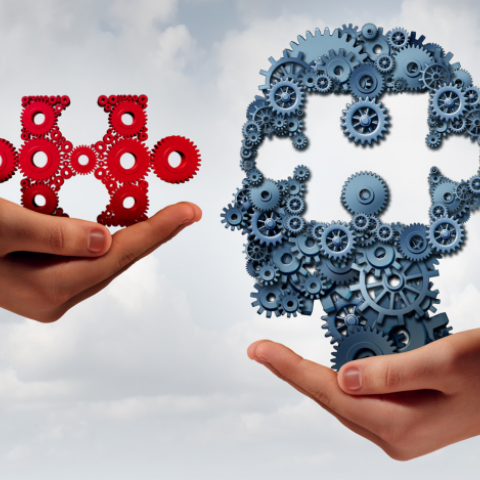 calendario formación 2024