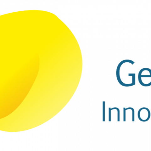 II edición Premio GEIS_horizontal