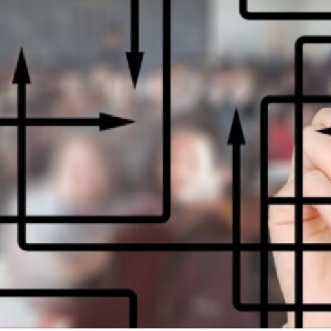 Inteligencia Colectiva