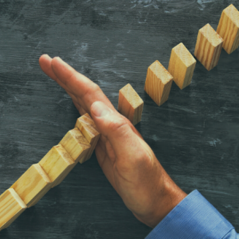 Formación y conocimiento